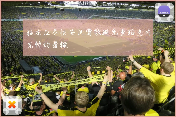 猛龙应尽快安抚莺歌避免重蹈克内克特的覆辙
